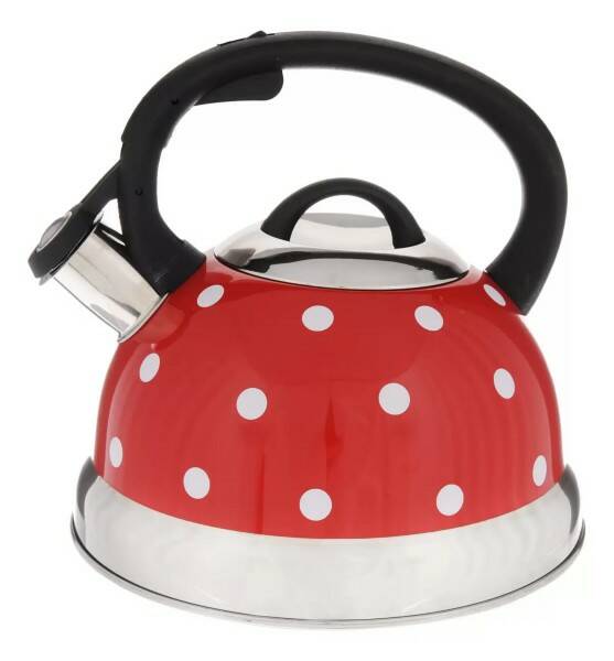 Чайник на газ HousRolang  /1